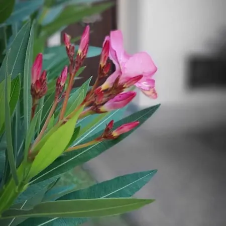 Le Tre Sorelle Дом отдыха Торре-Пелличе